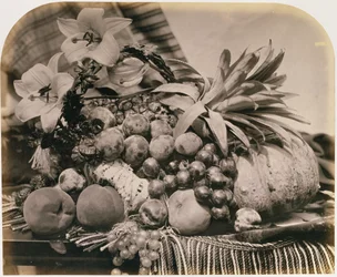 Stilleben med frukt, 1860 (sepia-bilde)